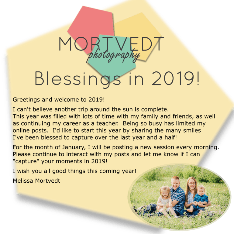 2019 New Year Post.png